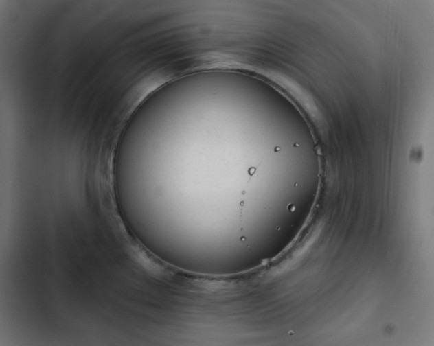 X0000103261289200809051434