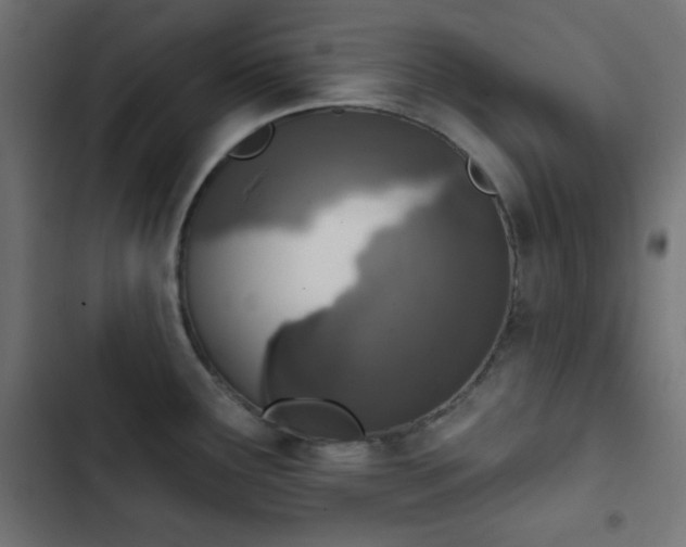 X0000103261291200809051434