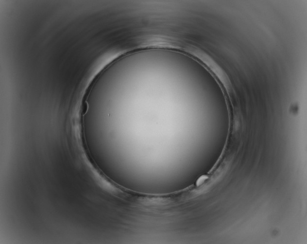 X0000103261293200809051434