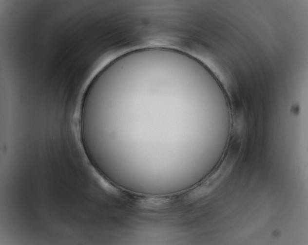 X0000103261294200809051434