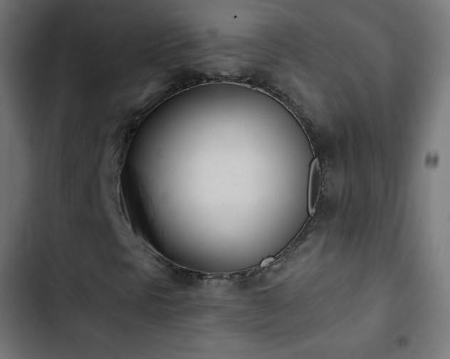 X0000103261297200809051434