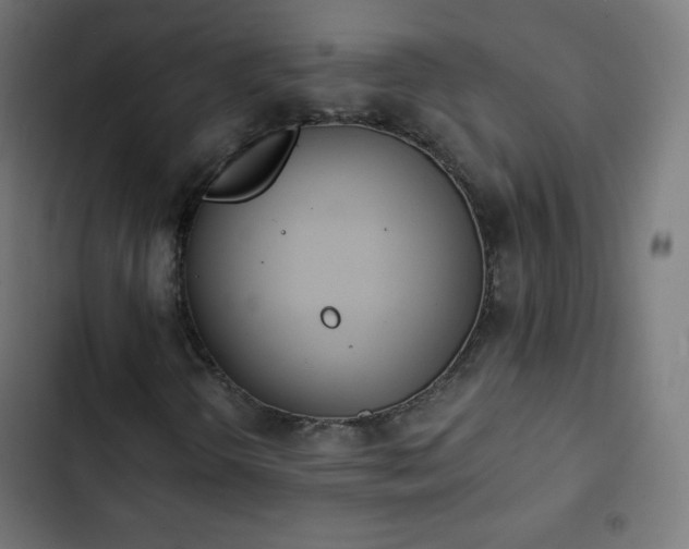 X0000103261298200809051434