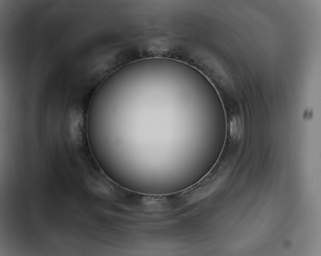 X0000103261299200809051434