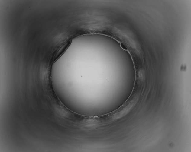 X0000103261300200809051434