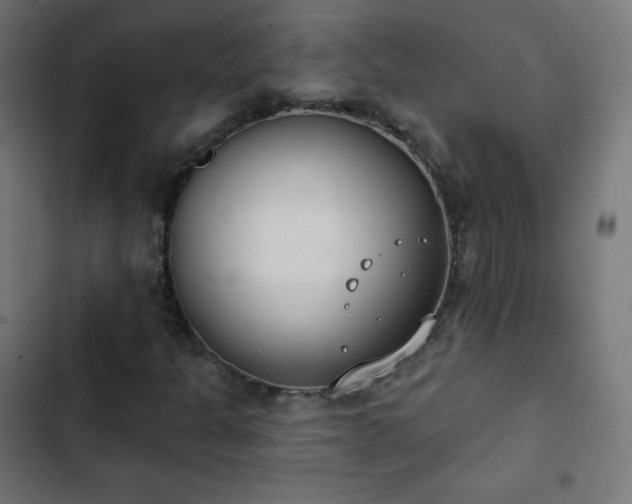 X0000103261301200809051434