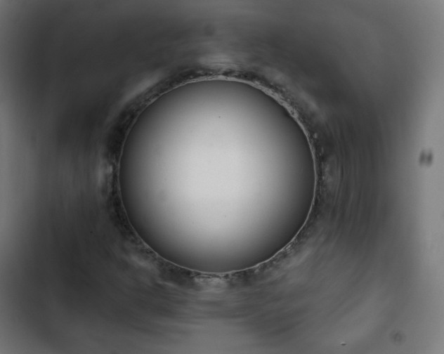 X0000103261302200809051434