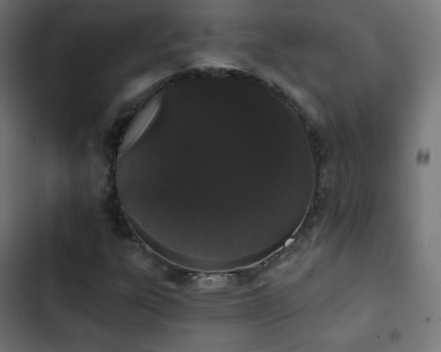 X0000103261303200809051434