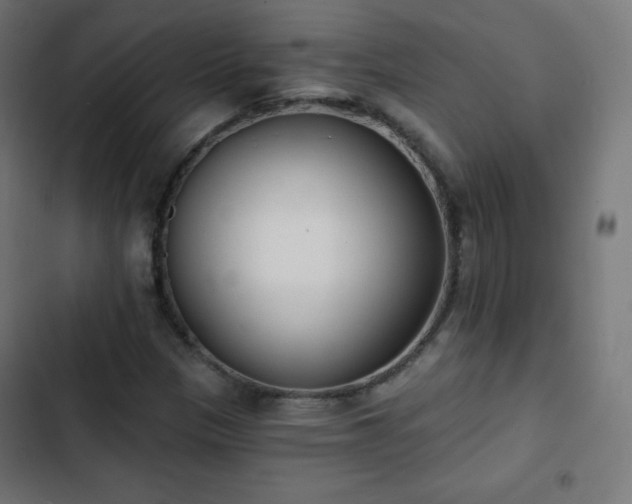 X0000103261305200809051434