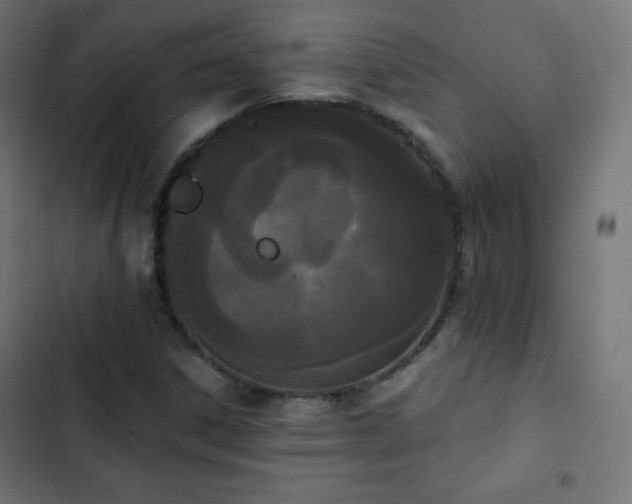 X0000103261306200809051434