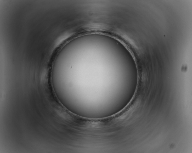 X0000103261309200809051434