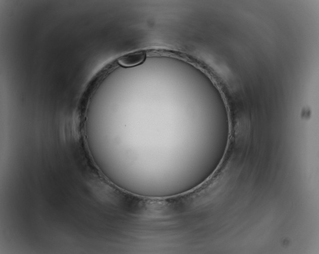 X0000103261310200809051434