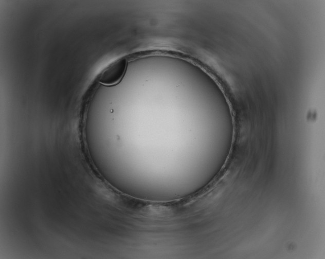 X0000103261312200809051434