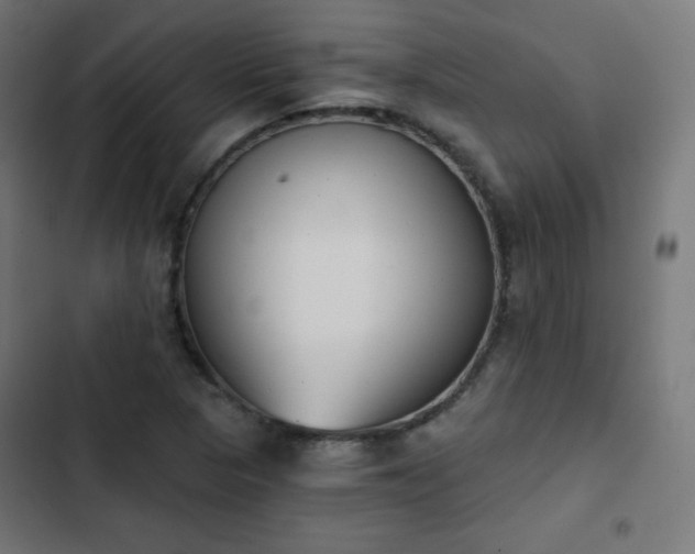 X0000103261313200809051434