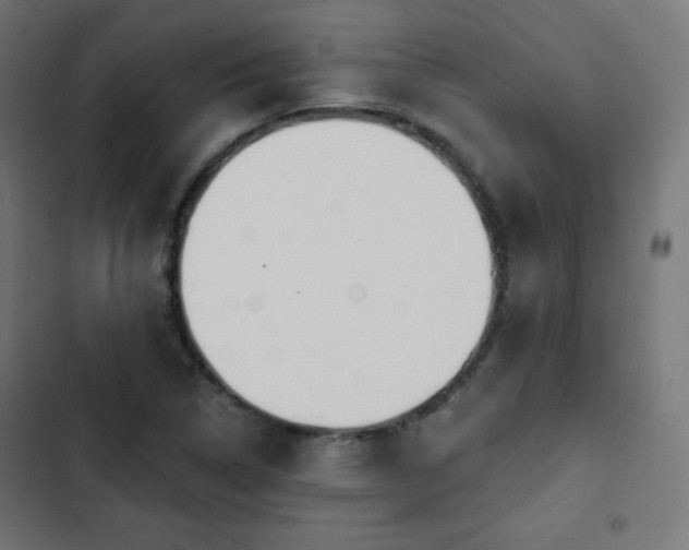 X0000103261314200809051434