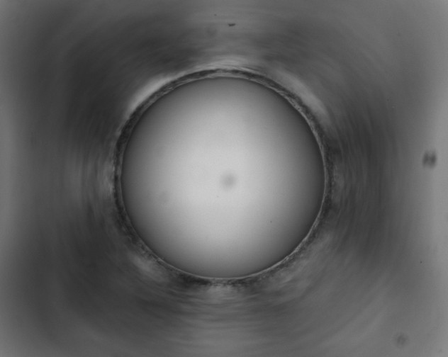 X0000103261316200809051434