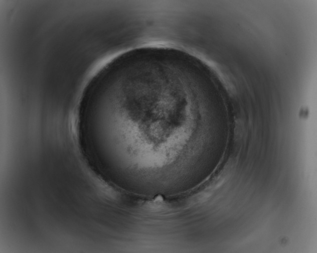 X0000103261319200809051434