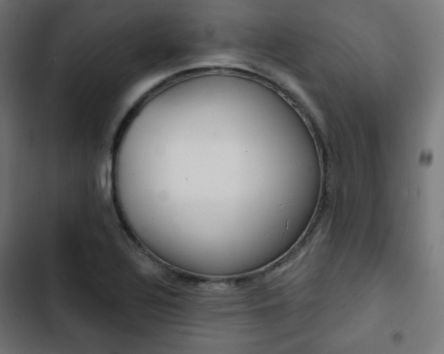 X0000103261320200809051434