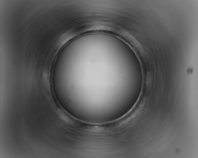 X0000103261321200809051434