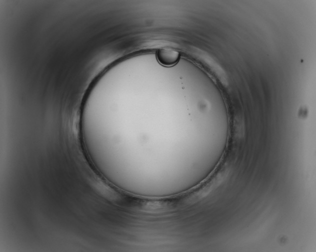 X0000103261322200809051434