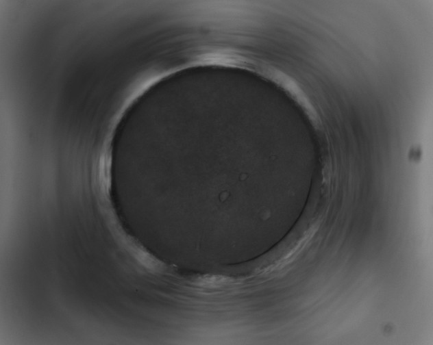 X0000103261323200809051434