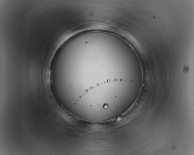 X0000103261324200809051434