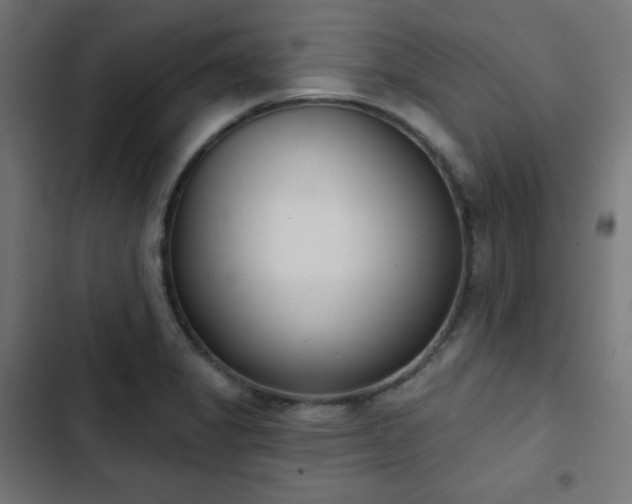 X0000103261325200809051434