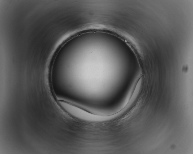 X0000103261326200809051434