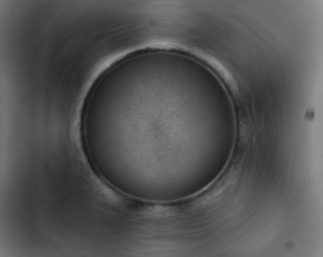 X0000103261327200809051434