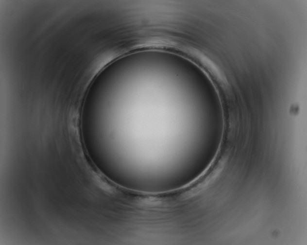 X0000103261329200809051434