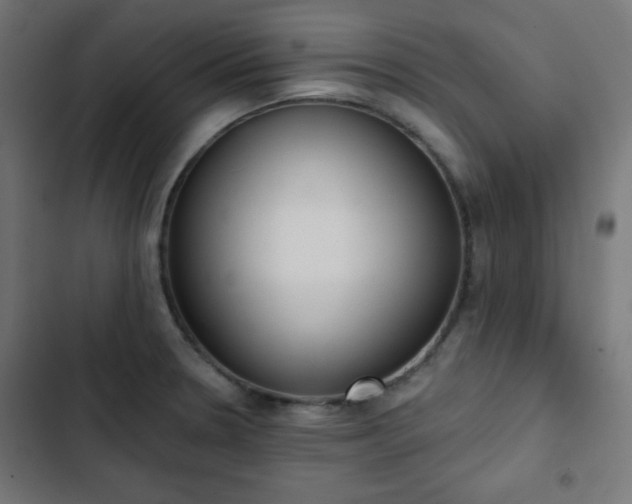 X0000103261330200809051434