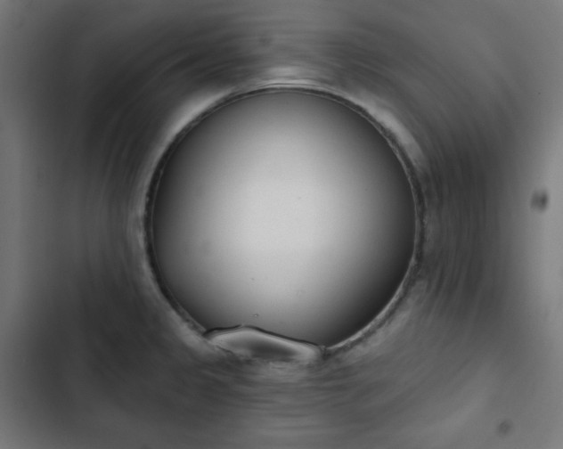 X0000103261333200809051434