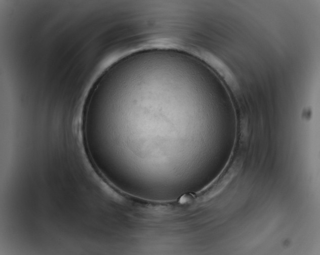 X0000103261334200809051434