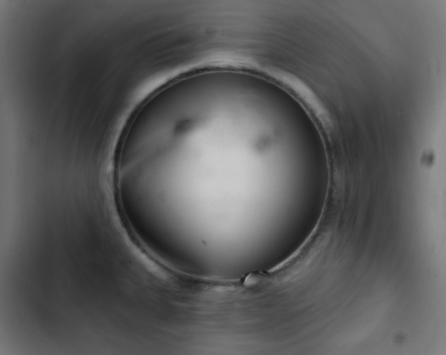 X0000103261335200809051434