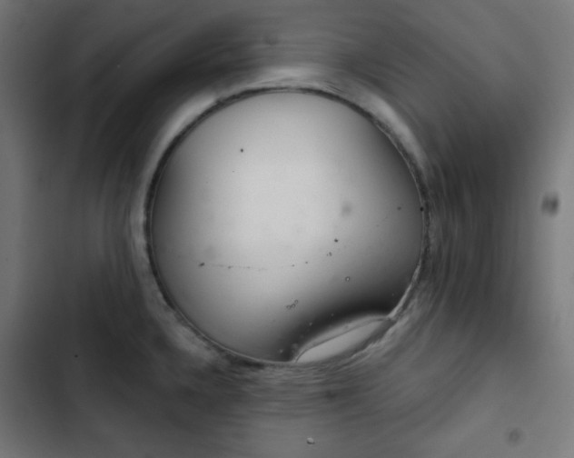 X0000103261336200809051434