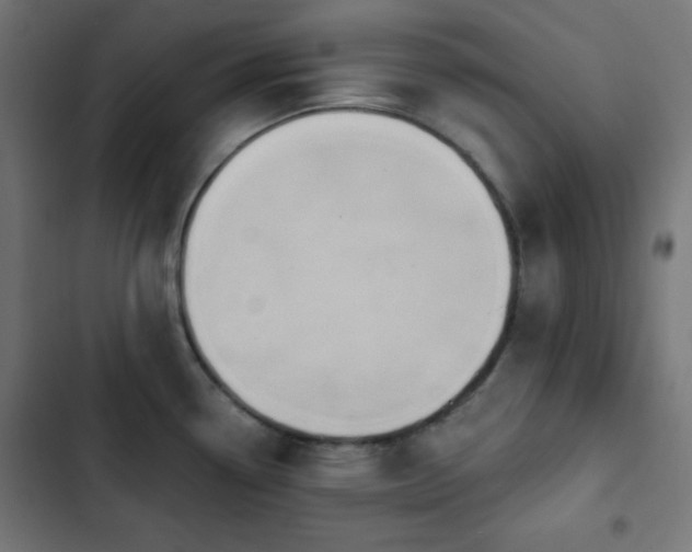 X0000103261338200809051434