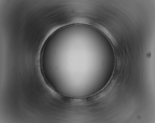 X0000103261339200809051434