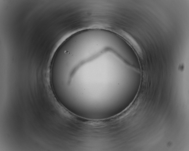 X0000103261340200809051434