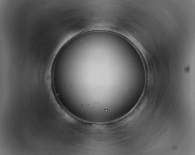 X0000103261341200809051434