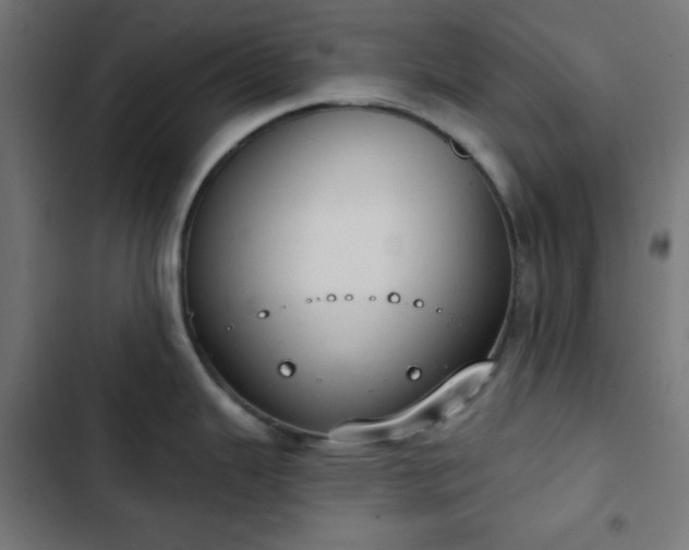 X0000103261343200809051434