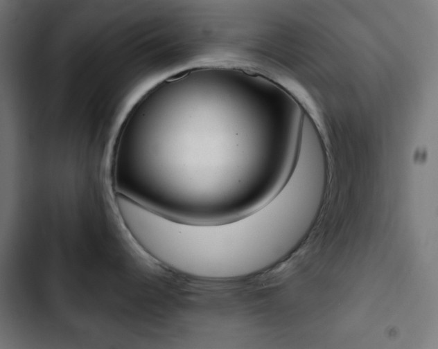 X0000103261344200809051434