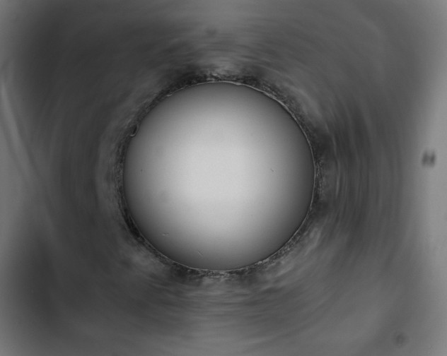 X0000103261345200809051434