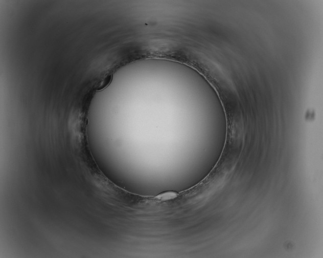 X0000103261346200809051434