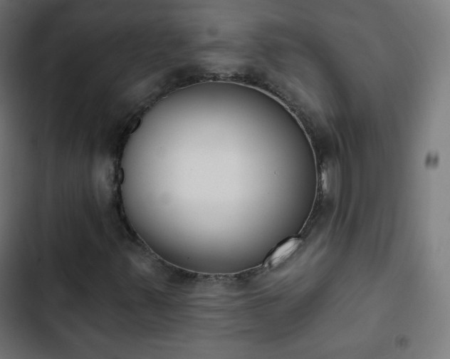 X0000103261347200809051434