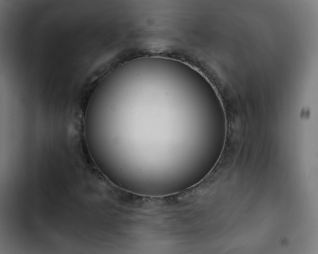 X0000103261349200809051434