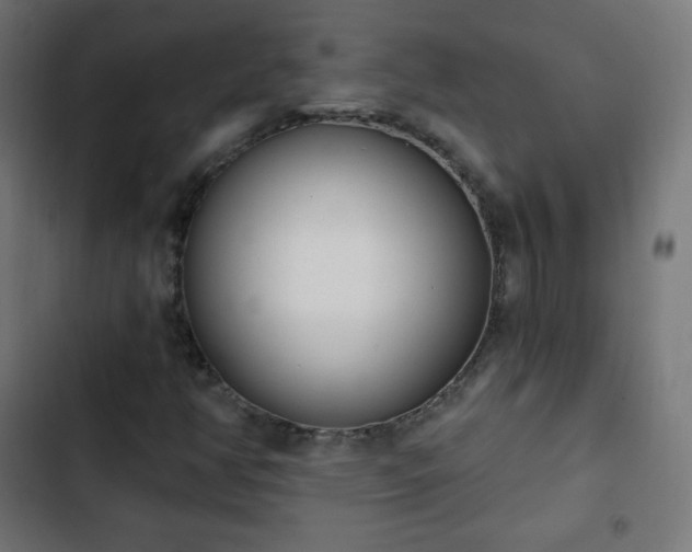 X0000103261350200809051434