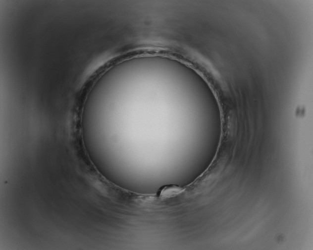 X0000103261352200809051434