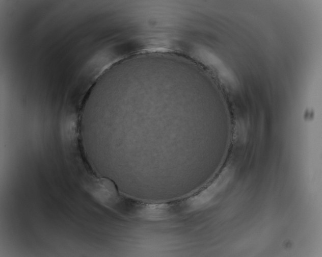 X0000103261353200809051434