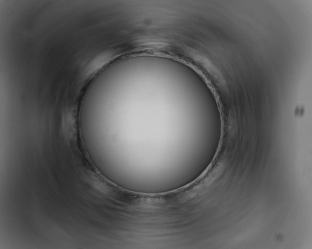 X0000103261354200809051434