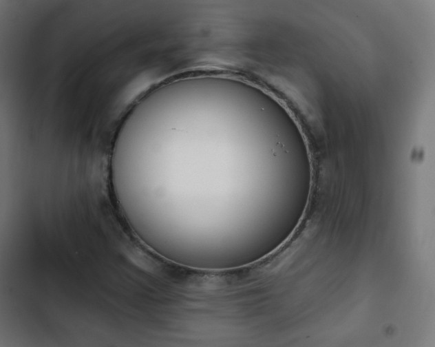 X0000103261355200809051434