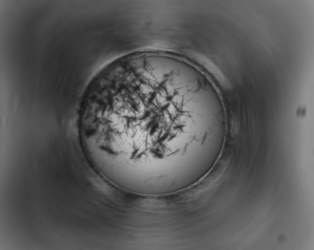 X0000103261356200809051433